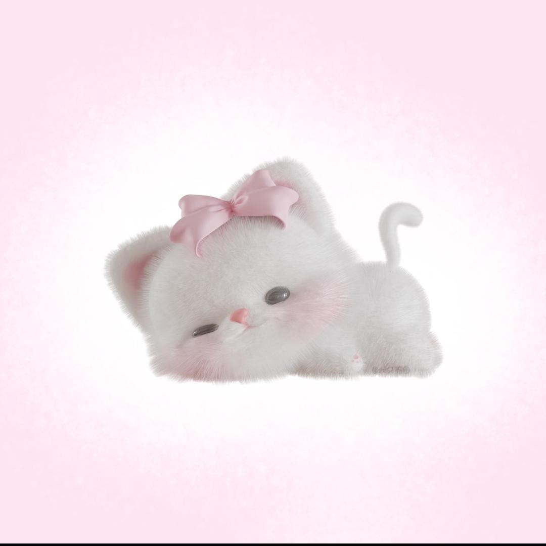 小55