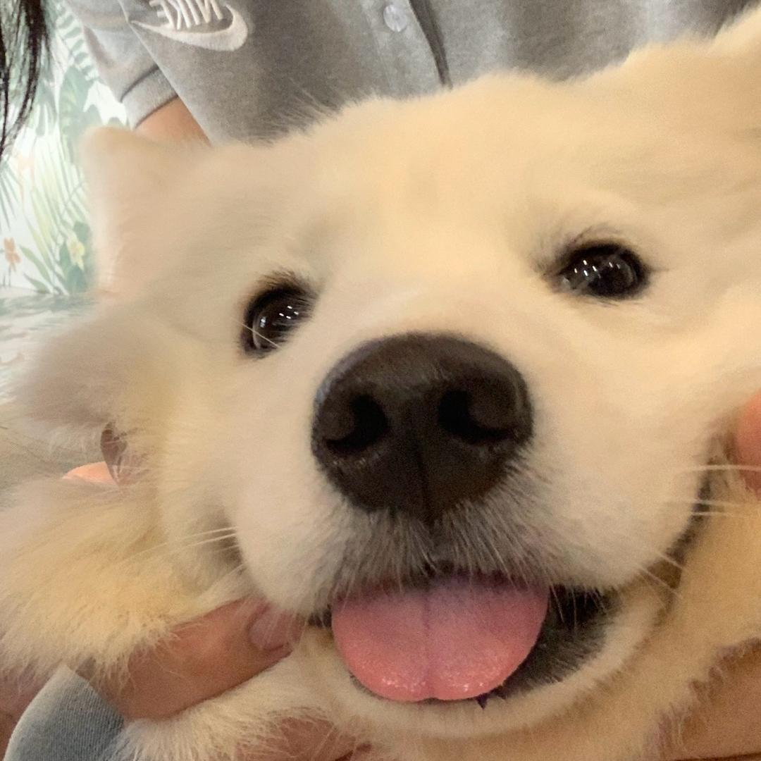 Xi_xxxxx
