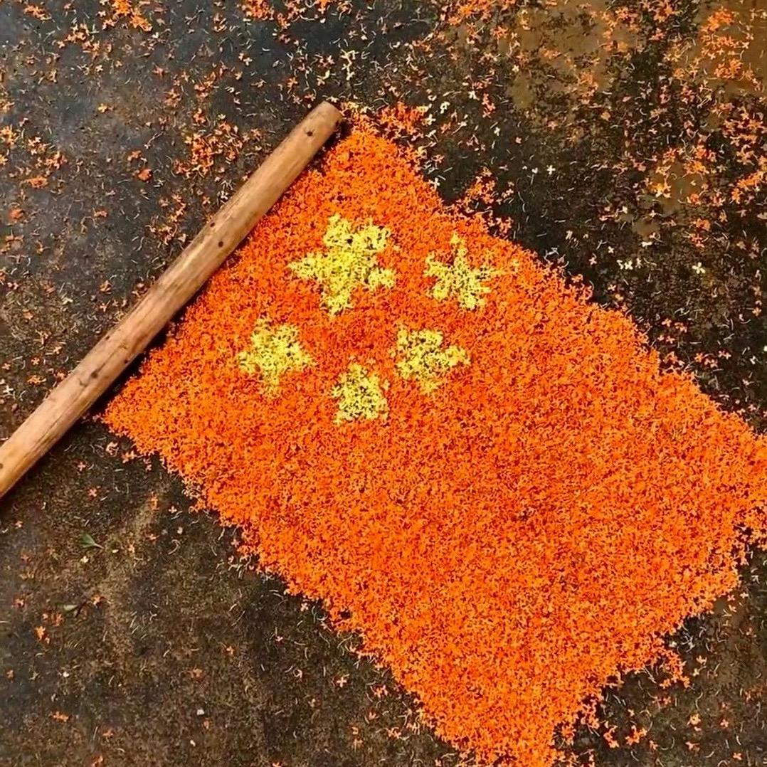 小韩同志🇨🇳