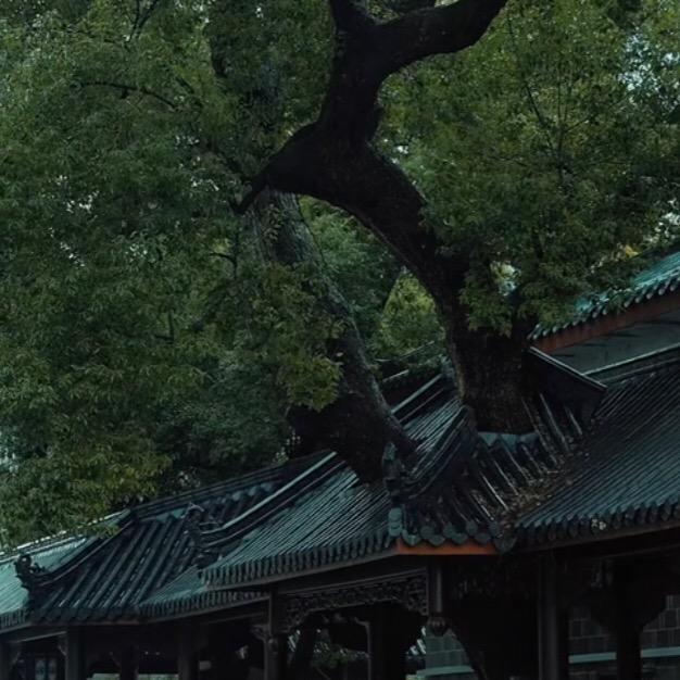 琬郑佳居士