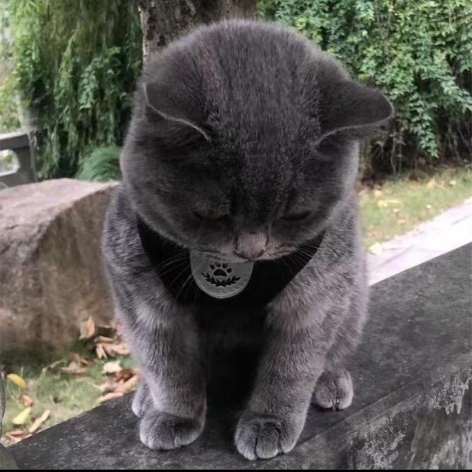 木嘴