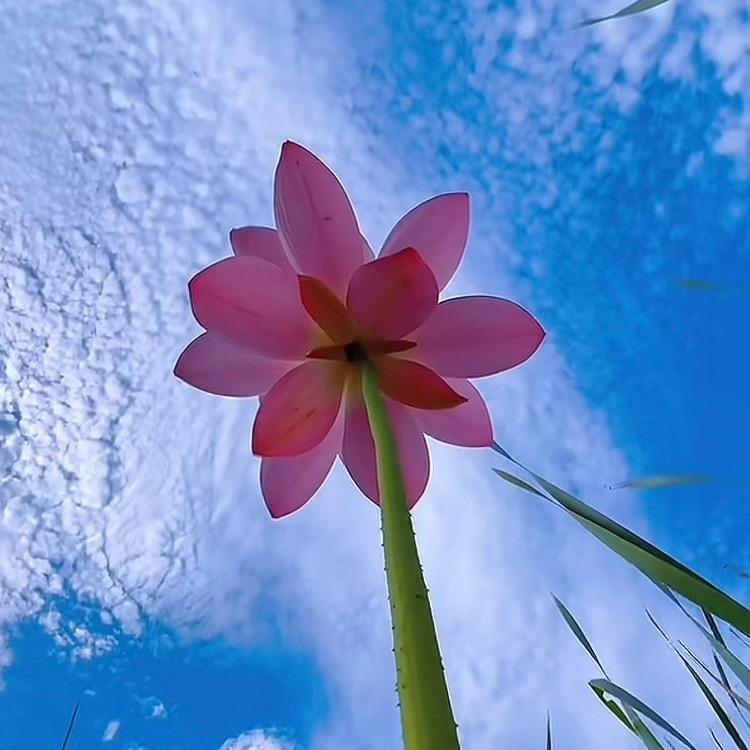 过的积极是为了生活 过的糊涂是为了快乐