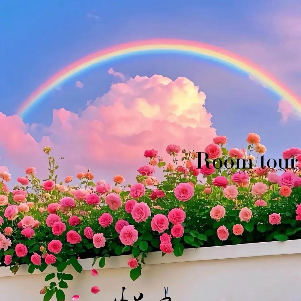 🌈彩虹的微笑