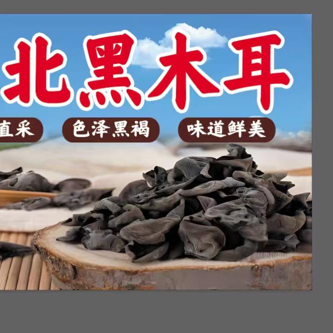 东北黑木耳 鲜人参 火锅料 鸡精 卤料包
