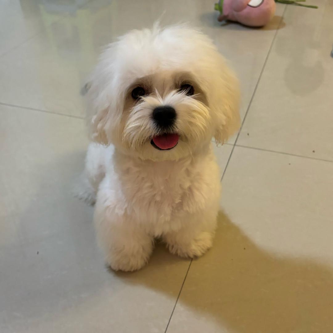蘤