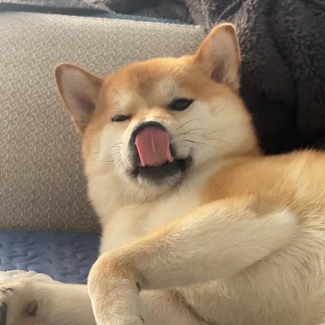 二丫分丫