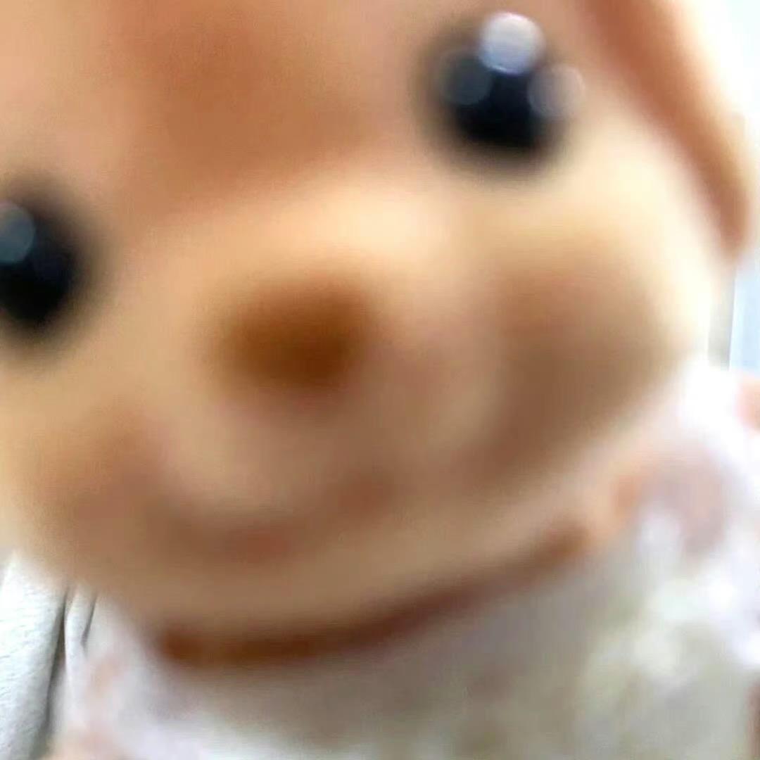 一只绿豆仔