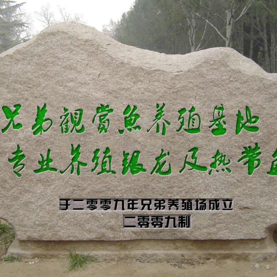 艺凡水族