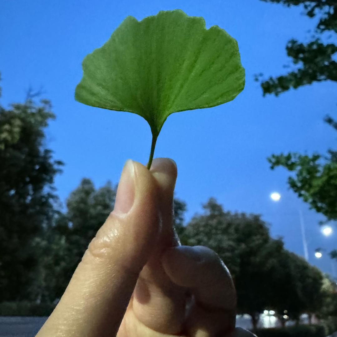 每日一言