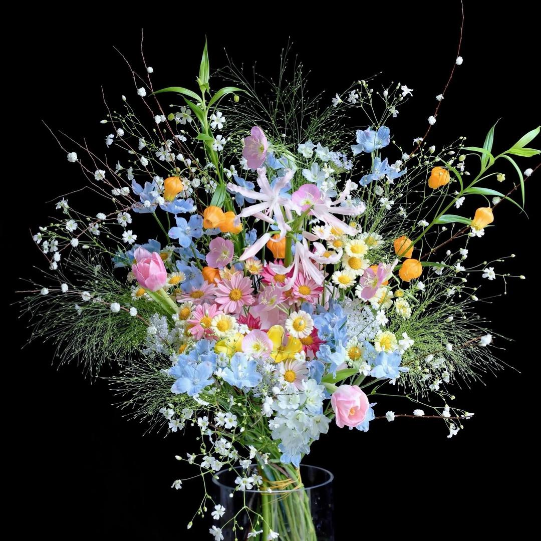 -W                　༽