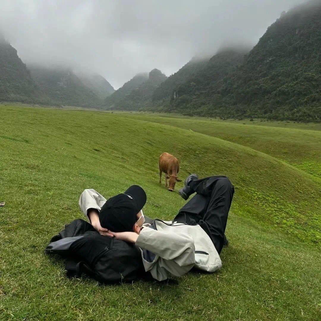 刘浩存的腿毛