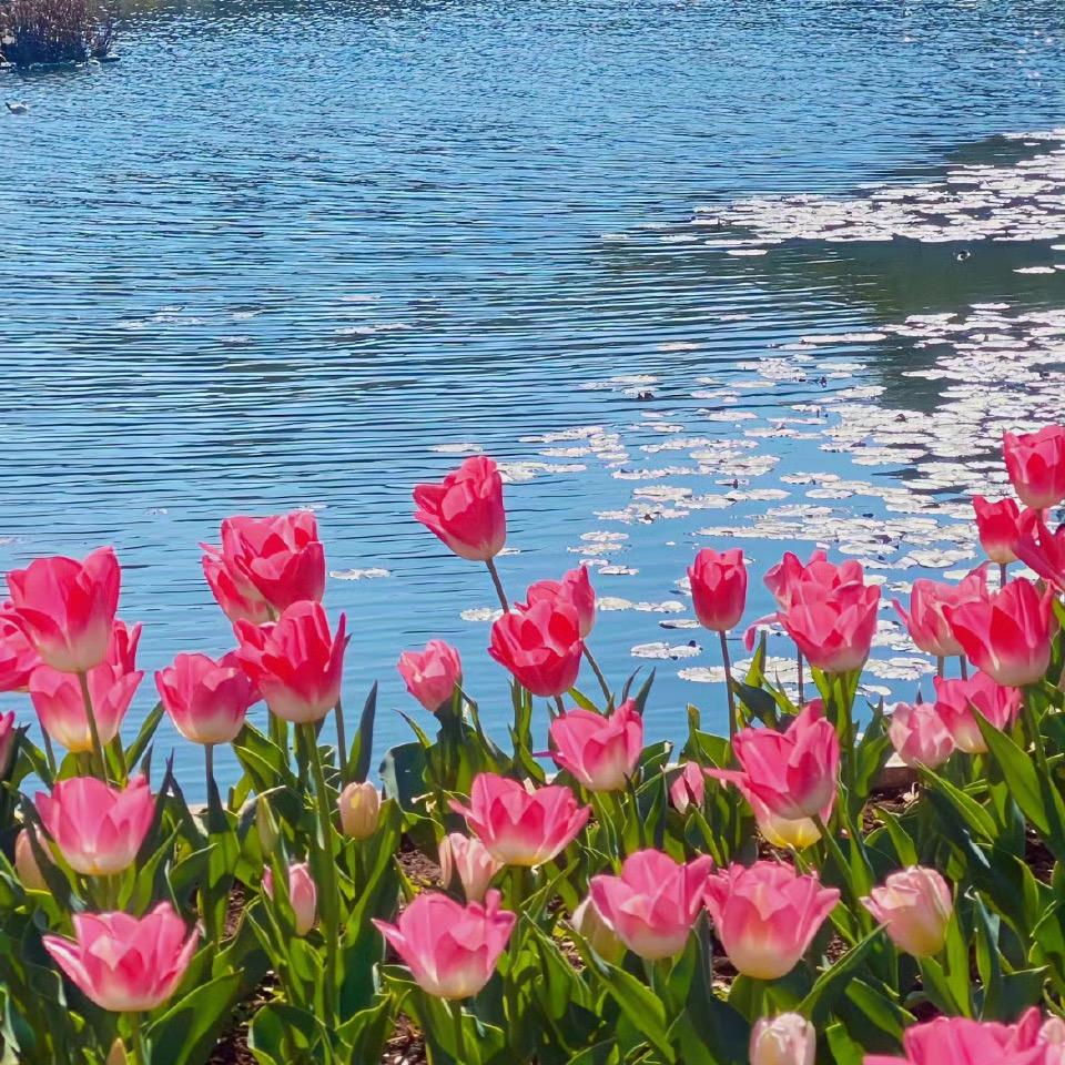 ╰ 'Nv 〢 intensions