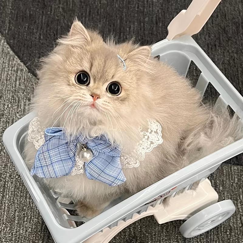 财财的宝藏围脖