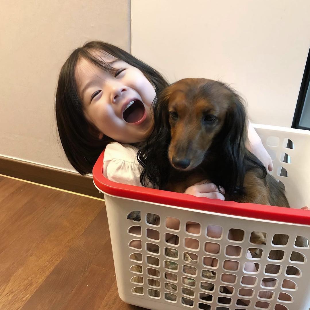 不是七巧板