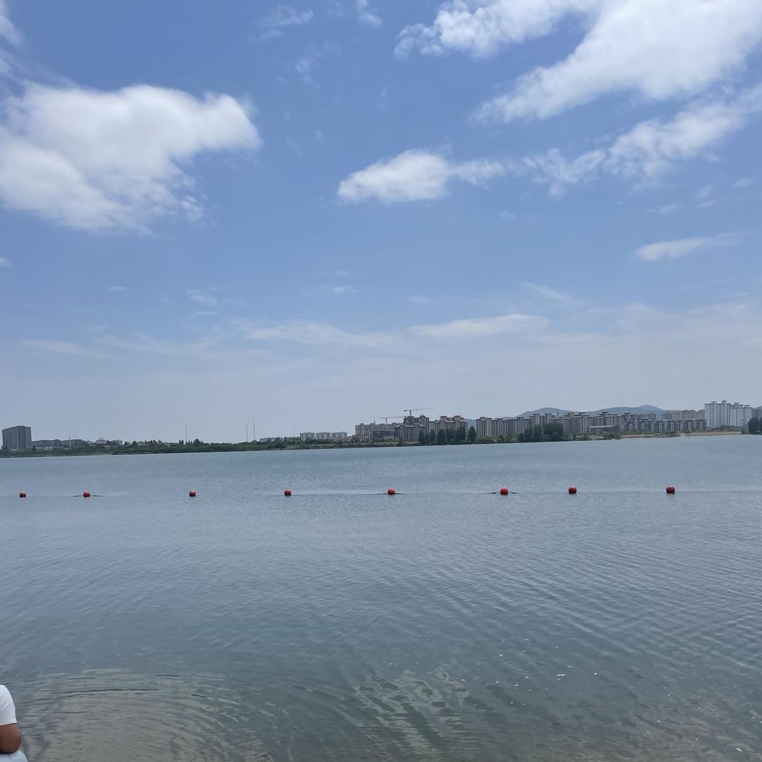 云顶鉴商会收集