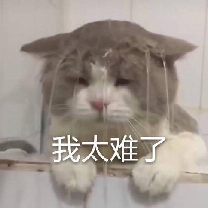 快碎了