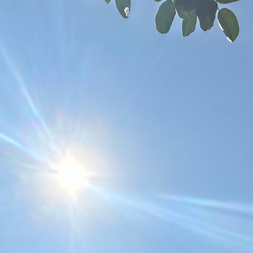 海口市楠悦二有限公司