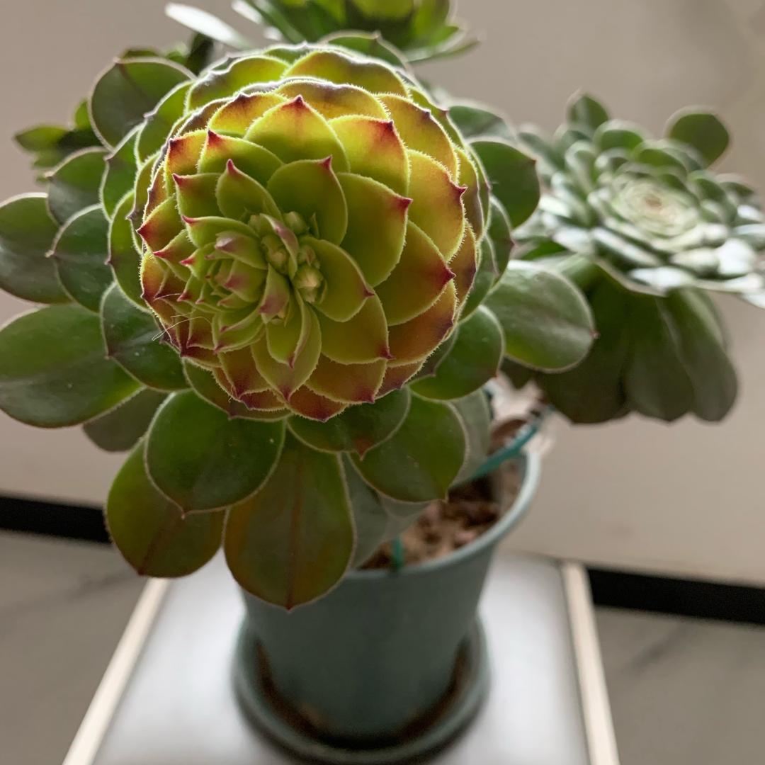 开心*健康（北京市.2025.06）