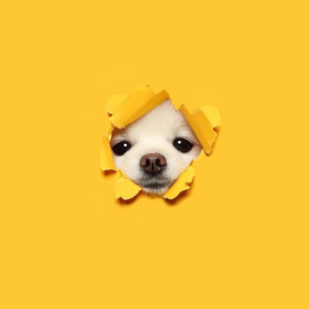 林萌不酸