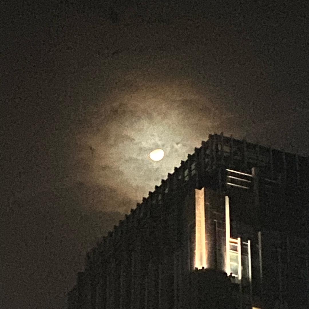 小阿龙
