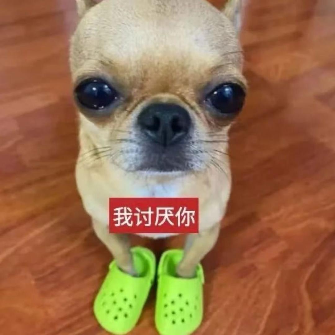 不听小胡同