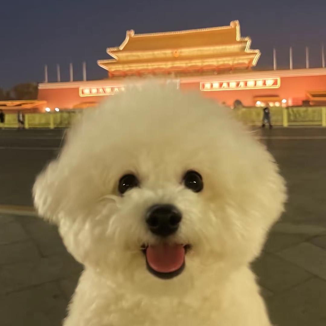 养狗的小宇