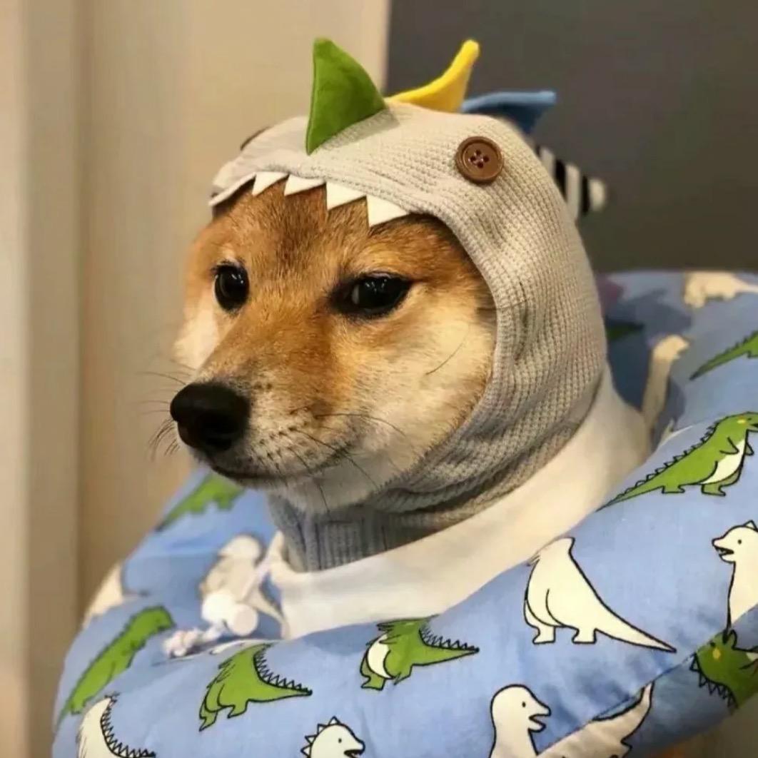 萝卜咸菜蛋操心
