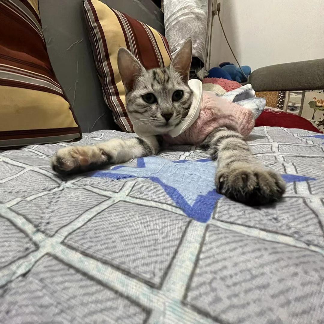 默^_^