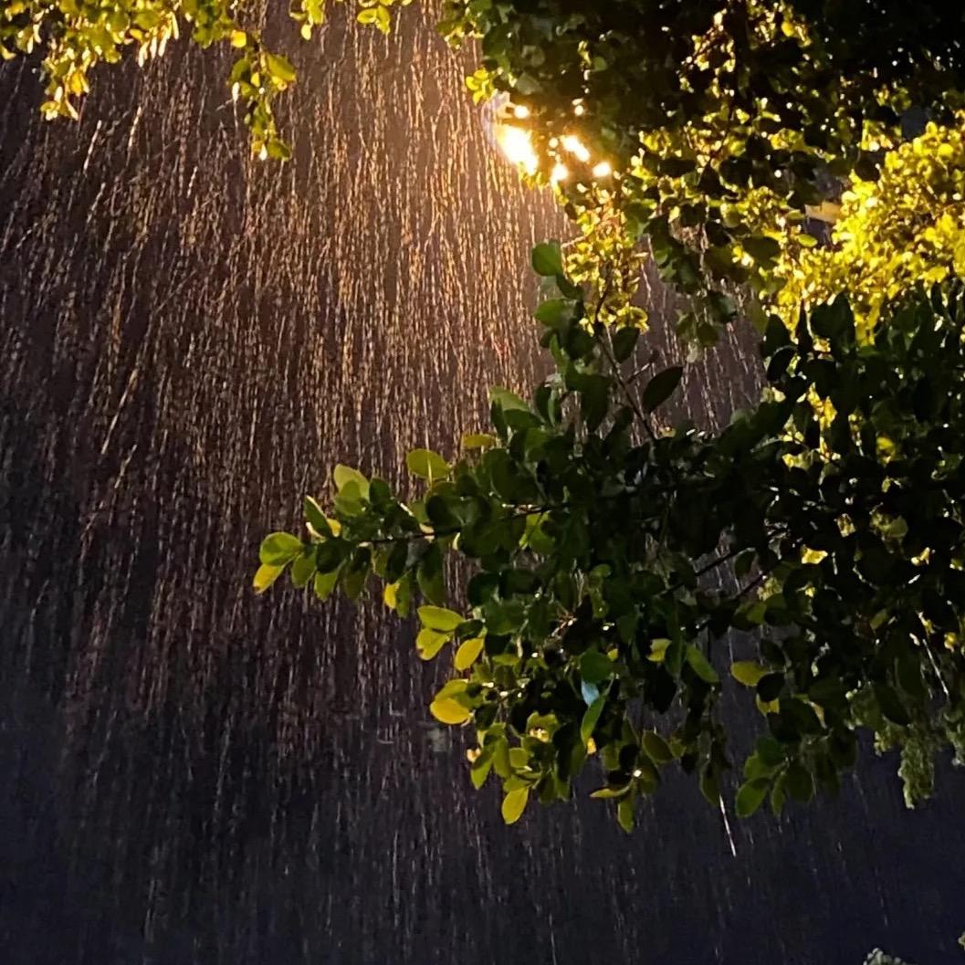 马尼玛尼哄🦄️ྀི