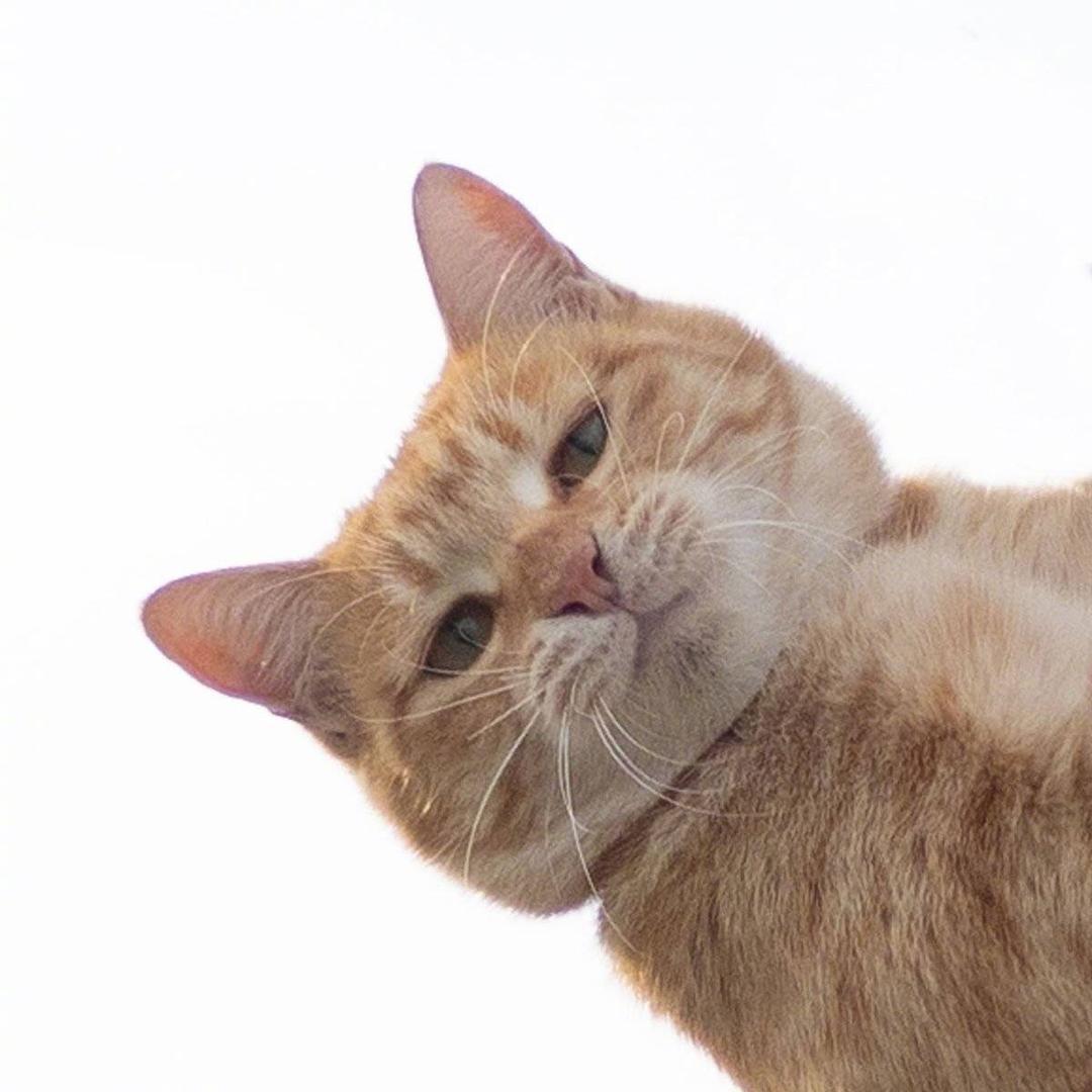 伯伯的伯这个号不用了