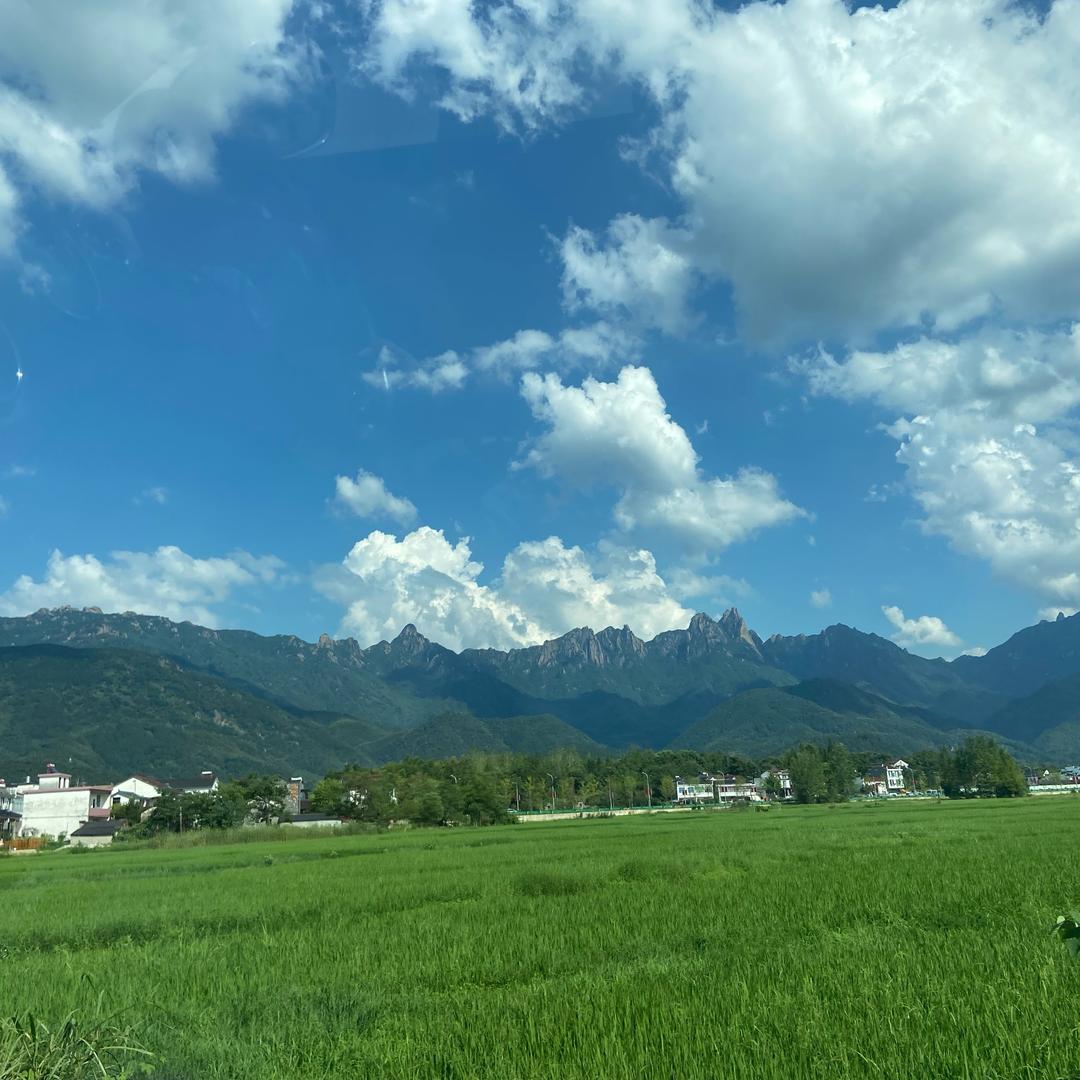 渐行渐远