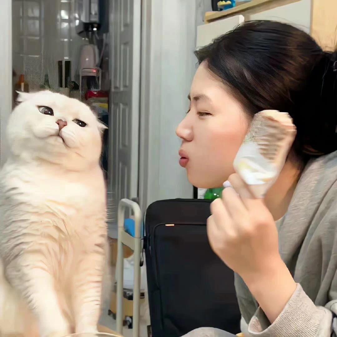 半夏半秋半倾城