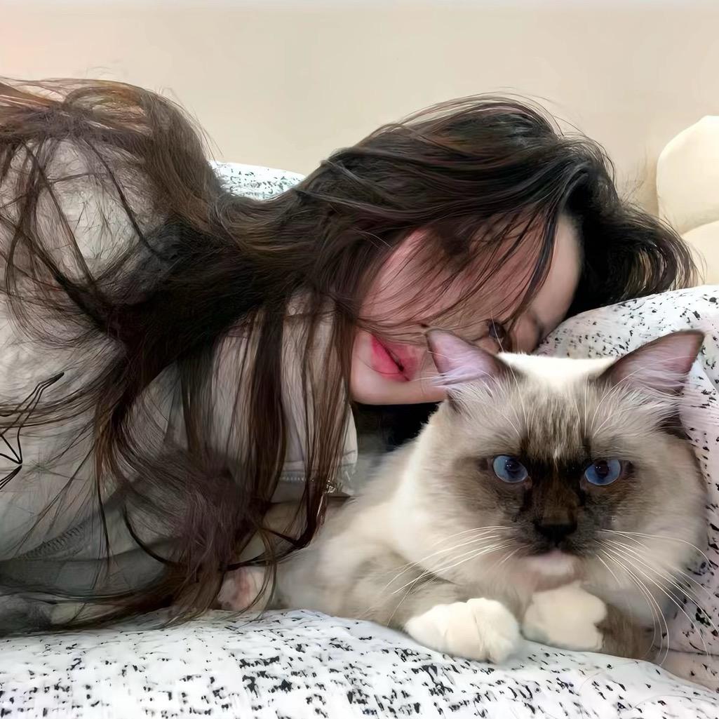 咸咸甜甜的包包