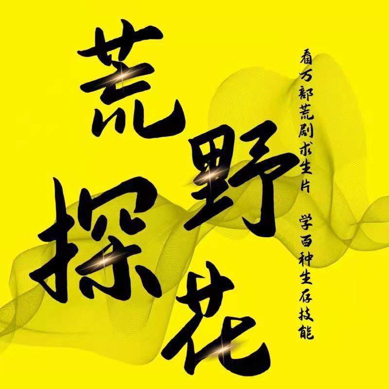 荒野探花