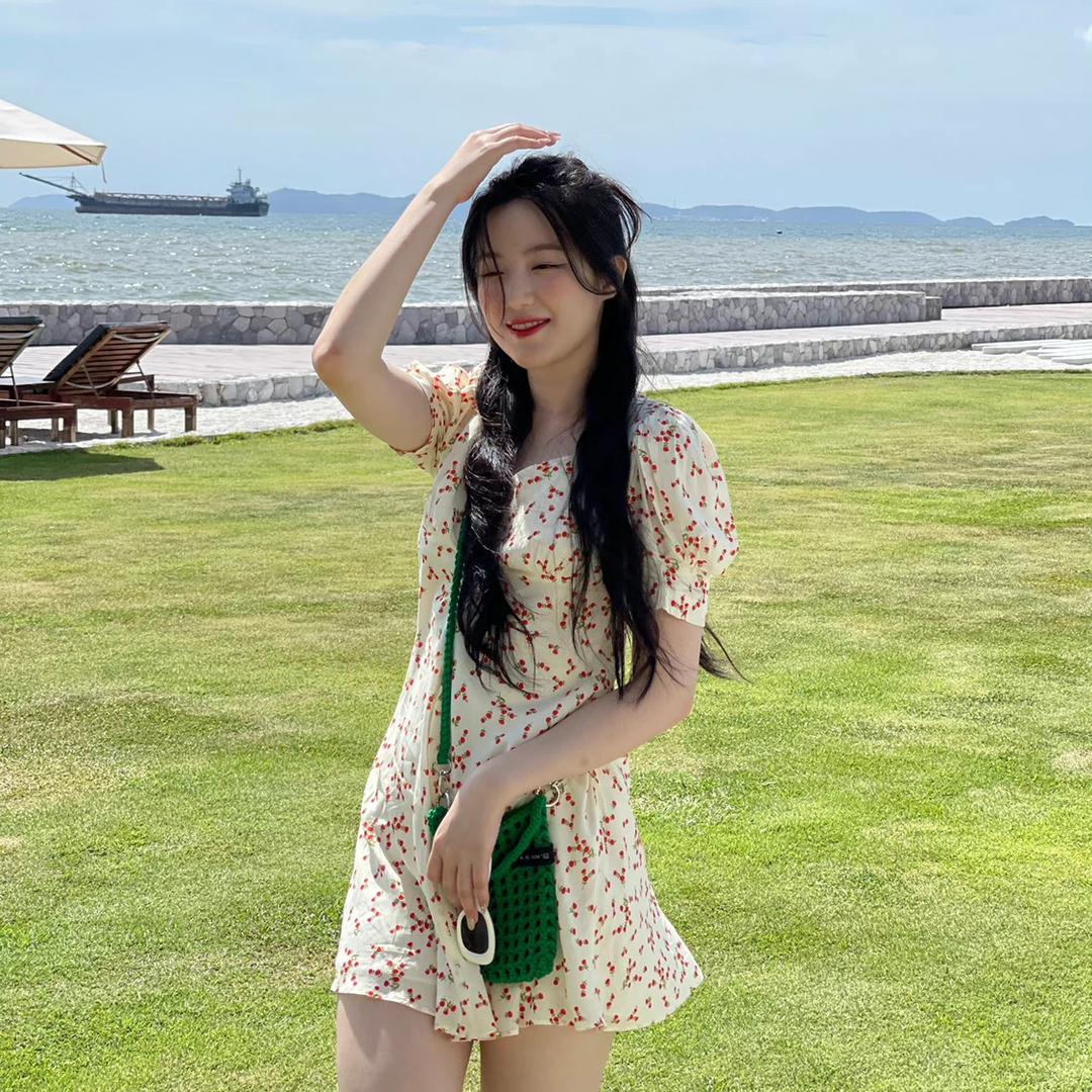 小熊达达