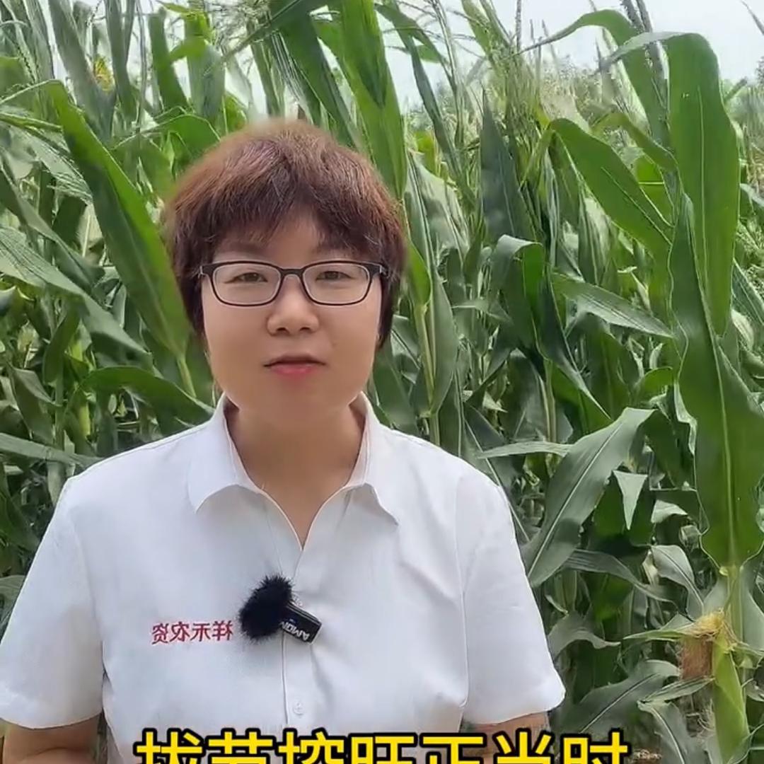 吴老师聊玉米大豆