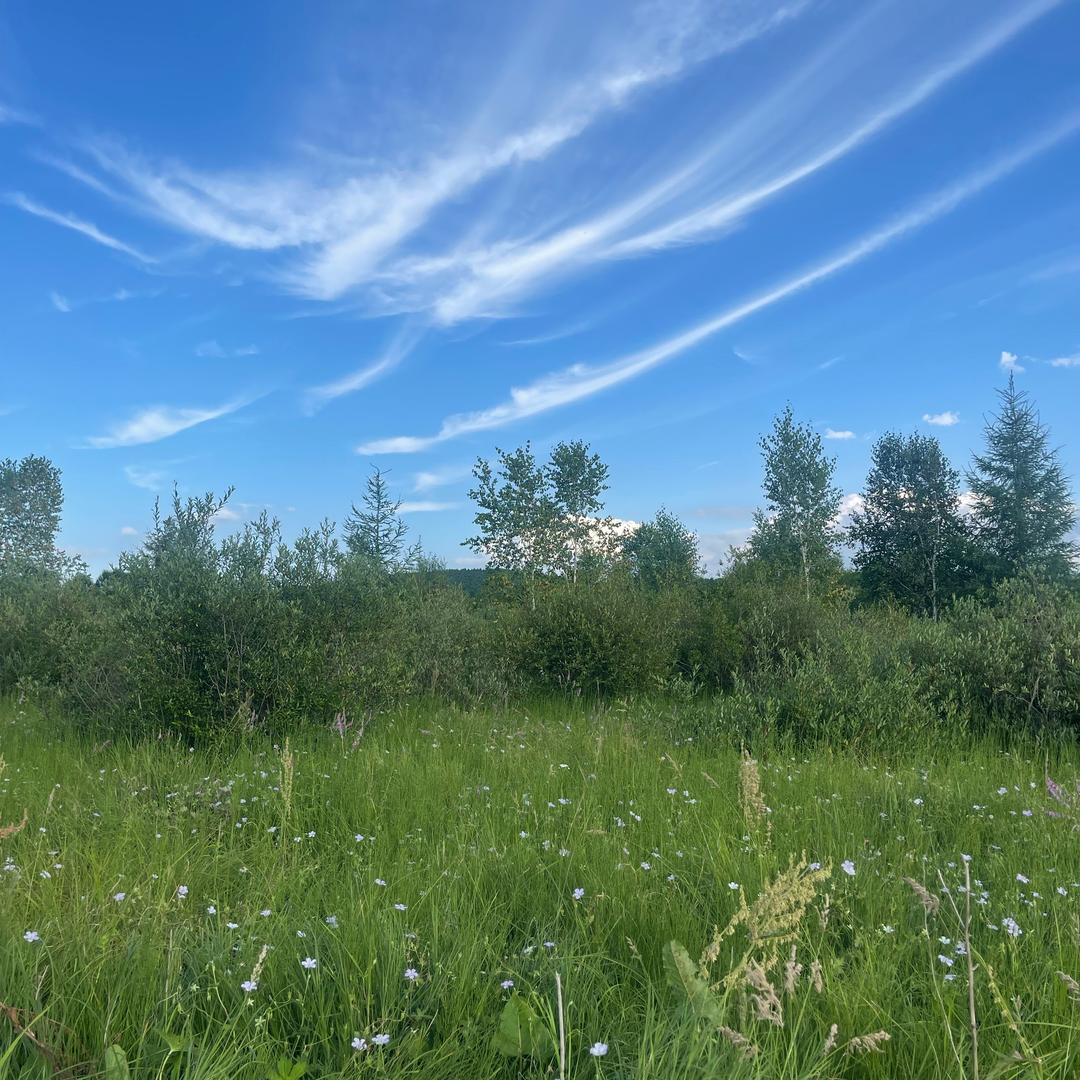 七七遇见爱丽丝