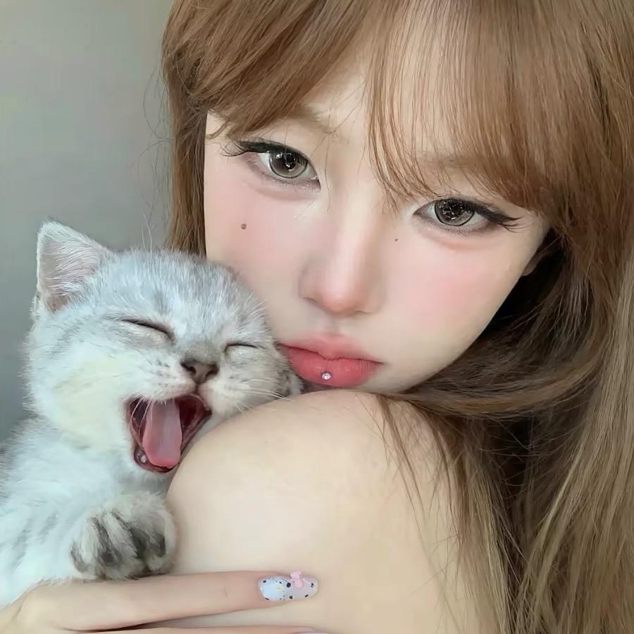 晚安🐾