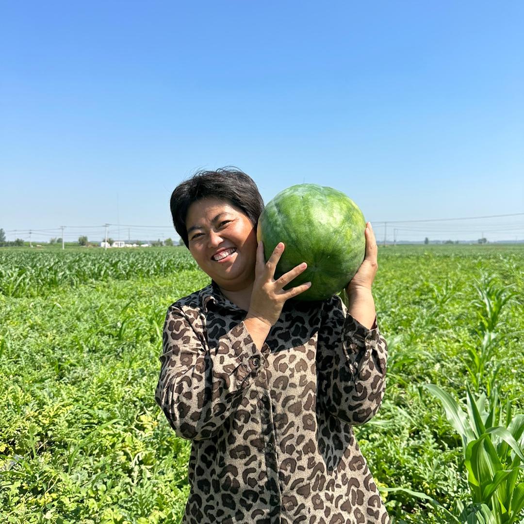 黑大莲优选