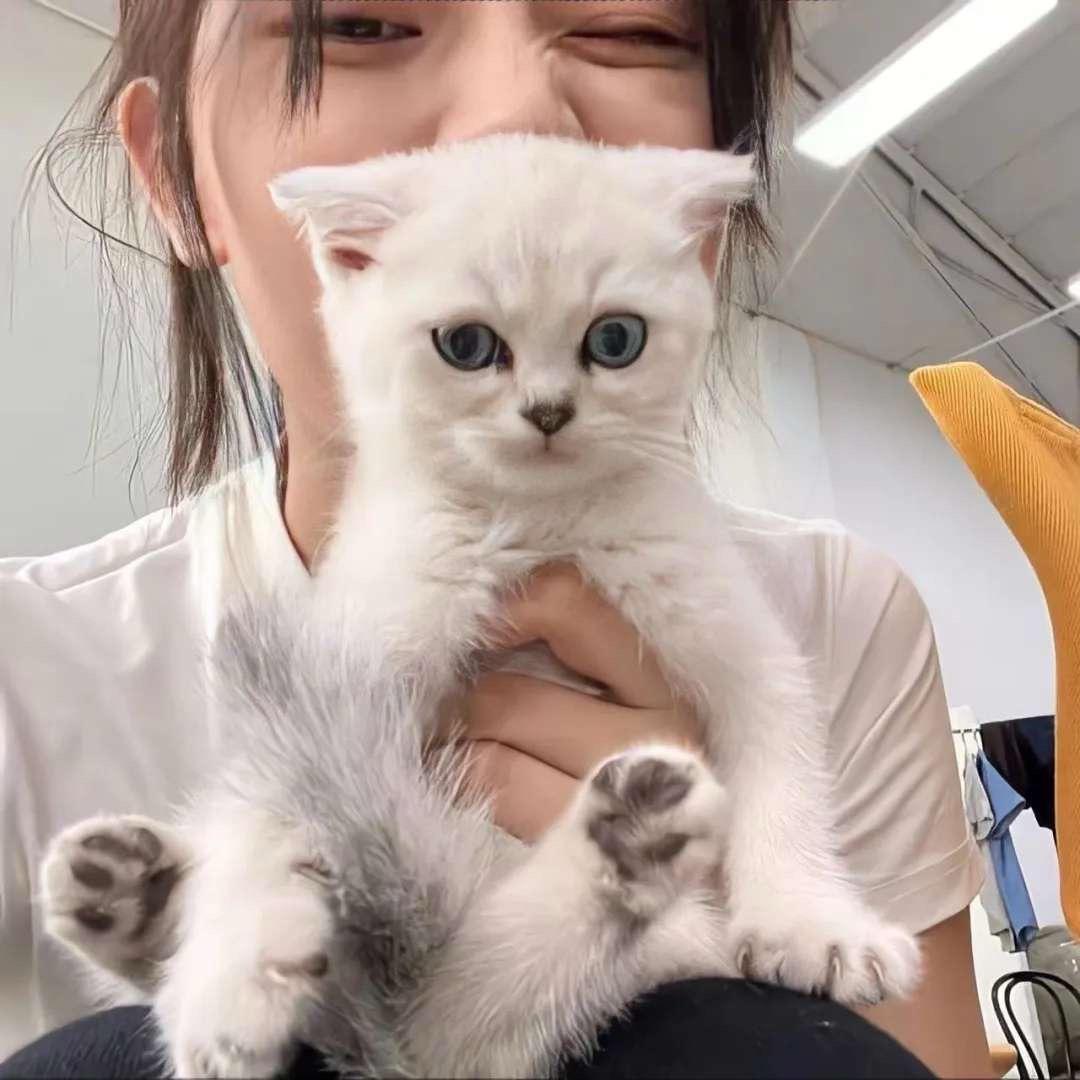 彤彤JInTsI