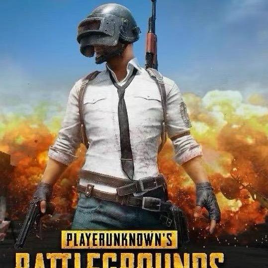 RTX-PUBG（精品酷纯）