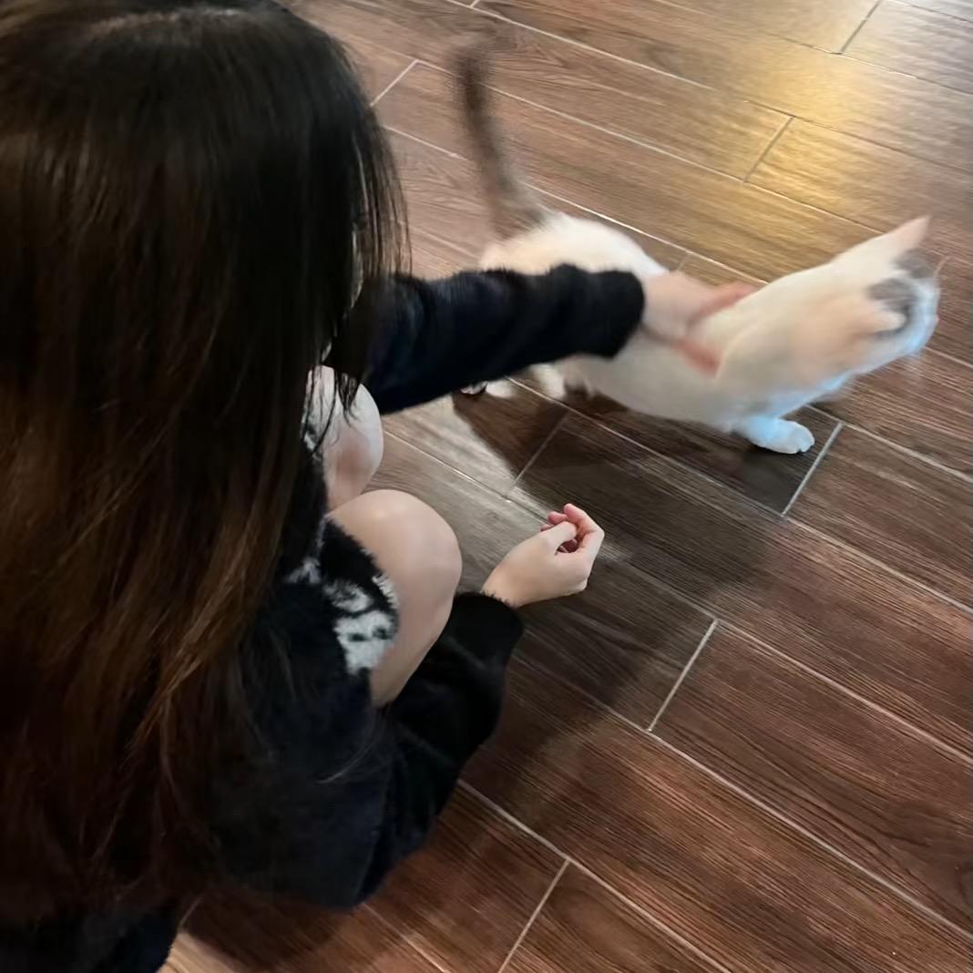 @燕子💕