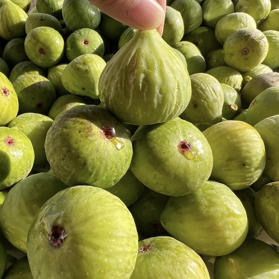 甜果水果生鲜