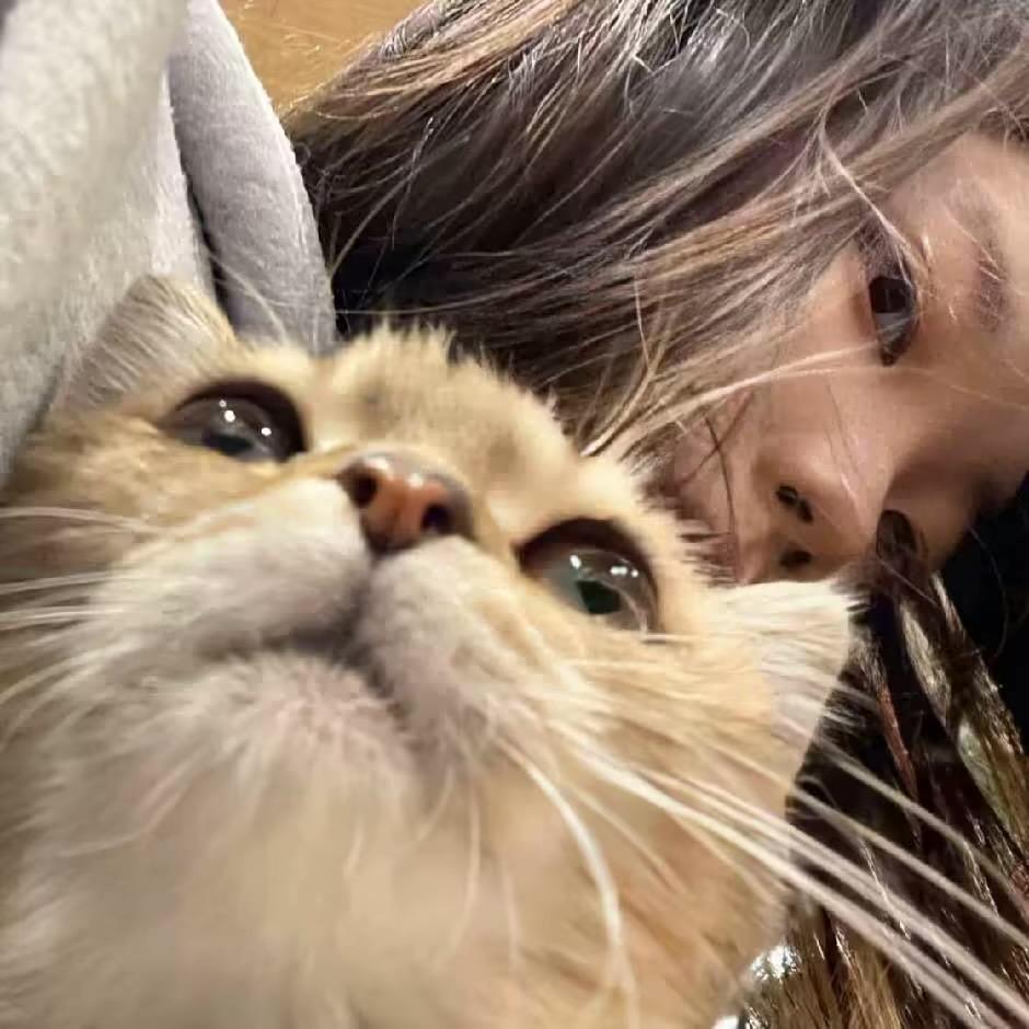 待我如初🐾