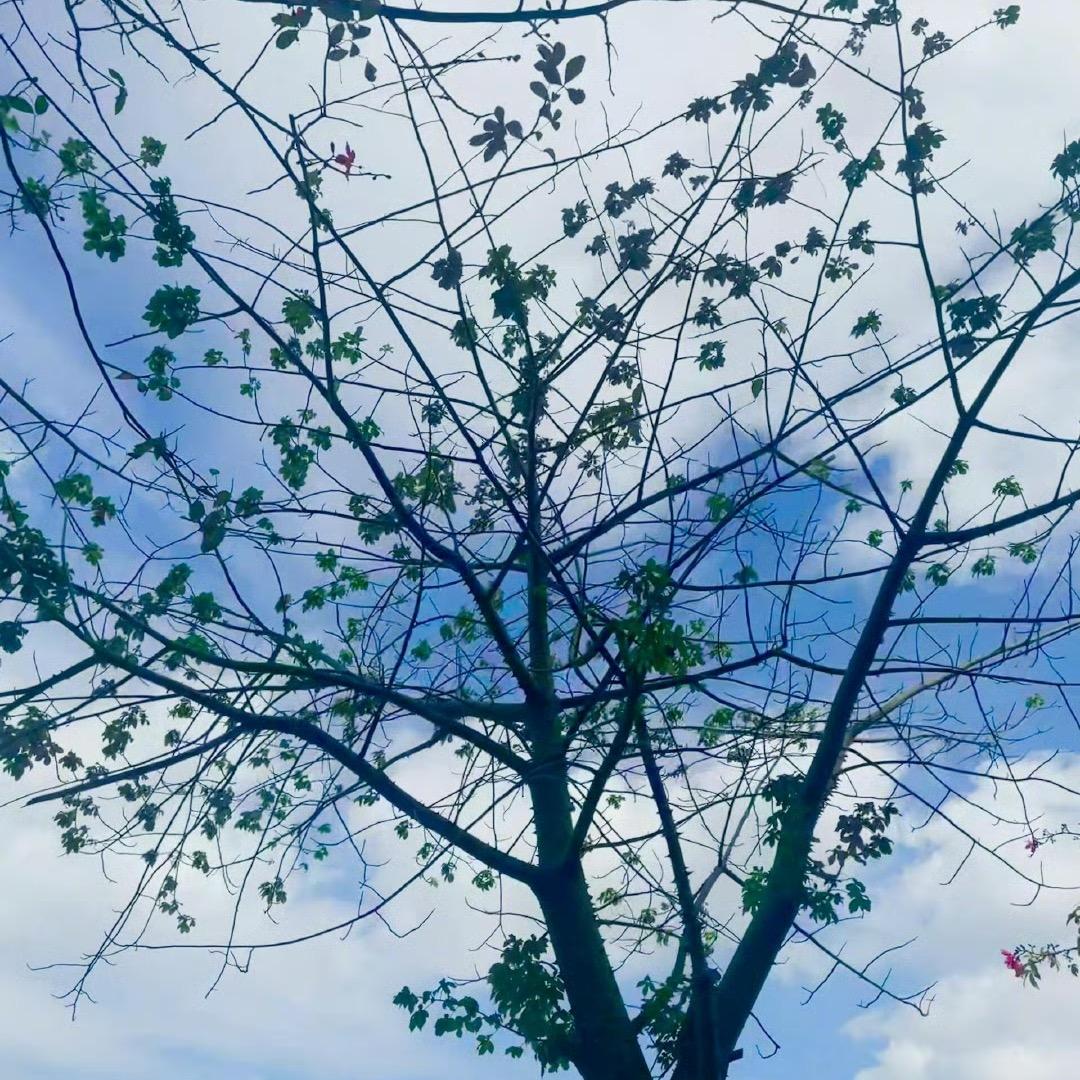 小李同学👩‍🎓