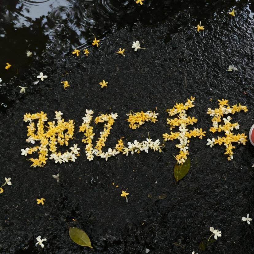 南宁驰亿二手车