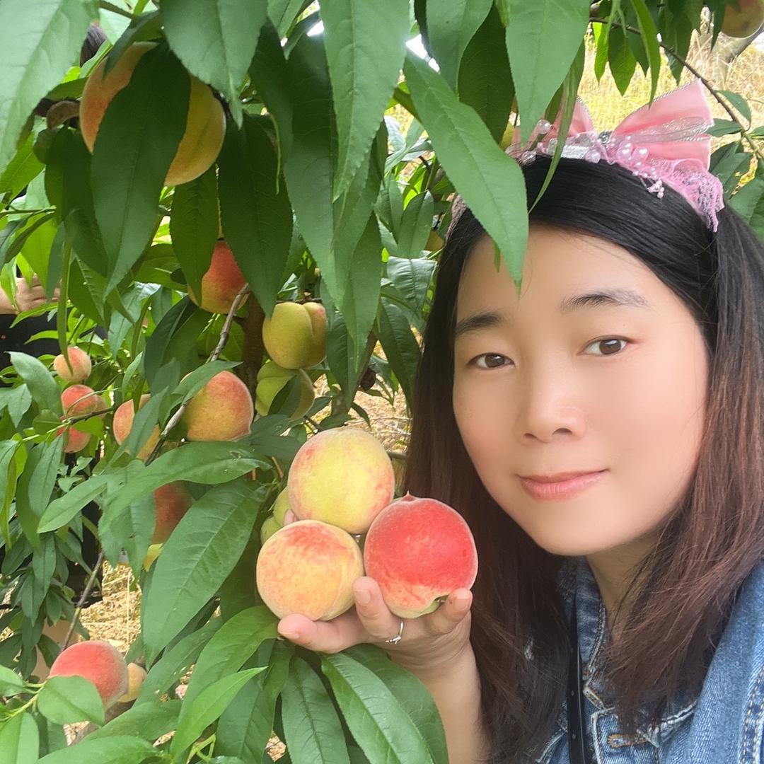 邹英