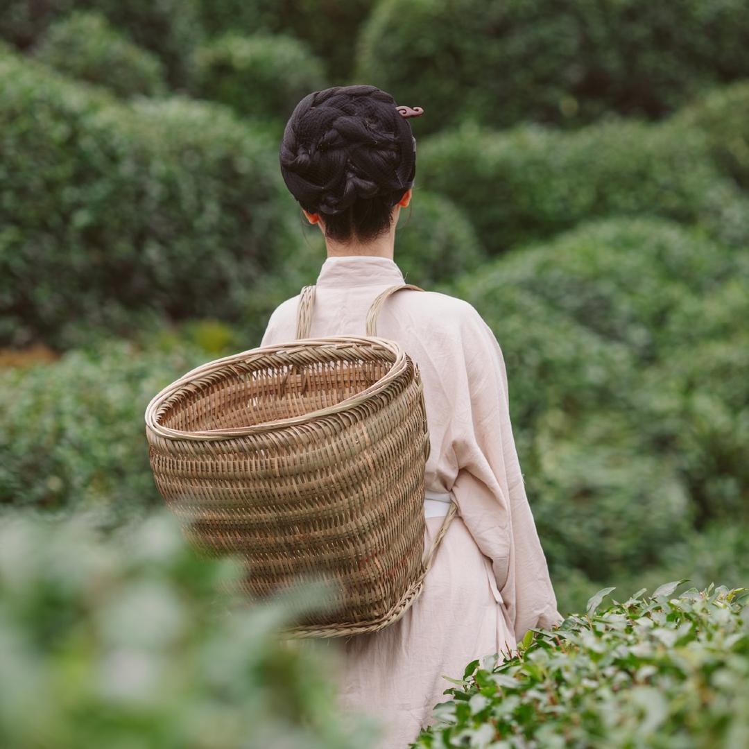 山月茶事