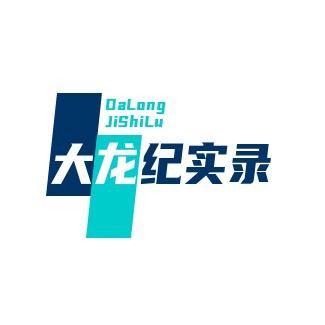 大龙纪实录
