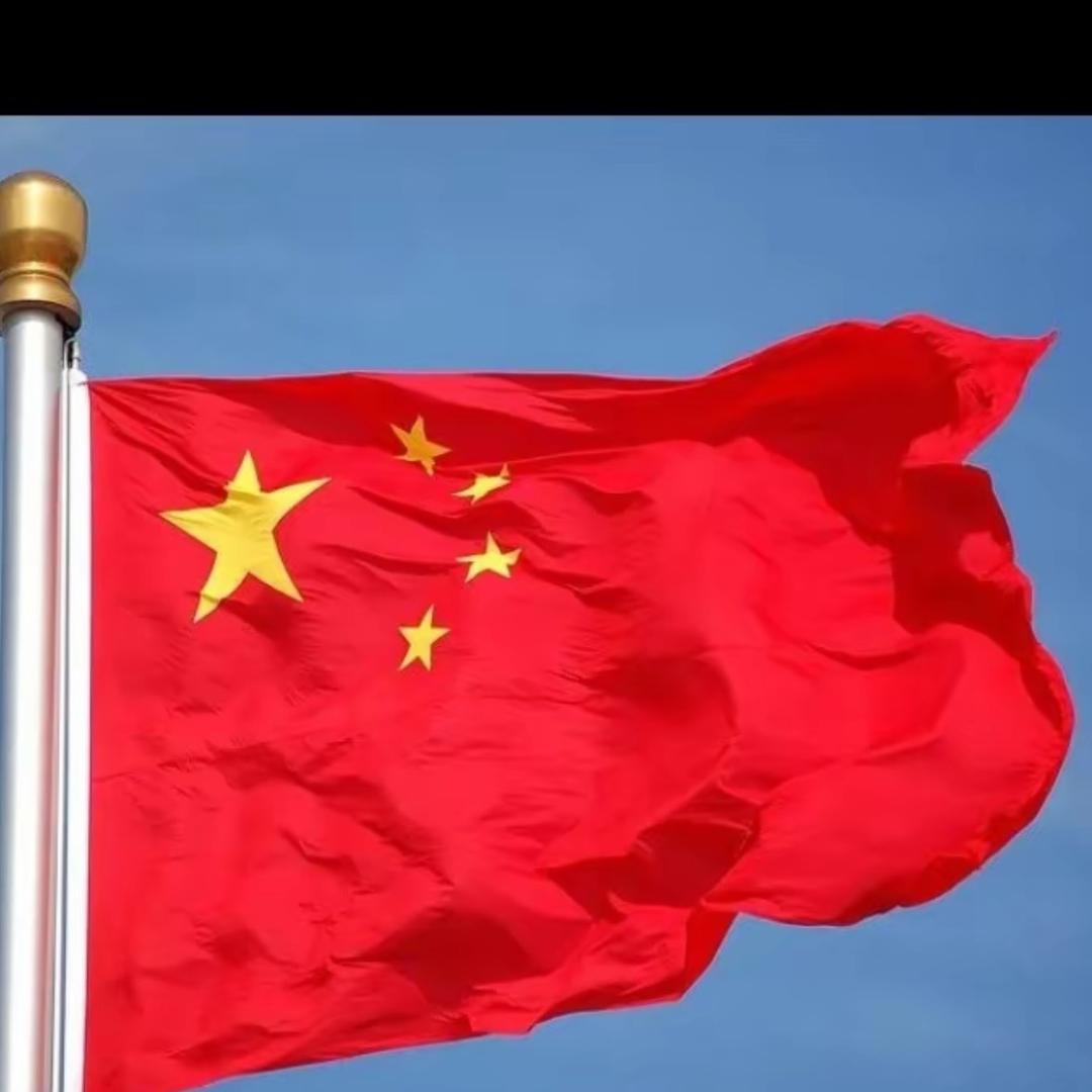 爱我中华🌟